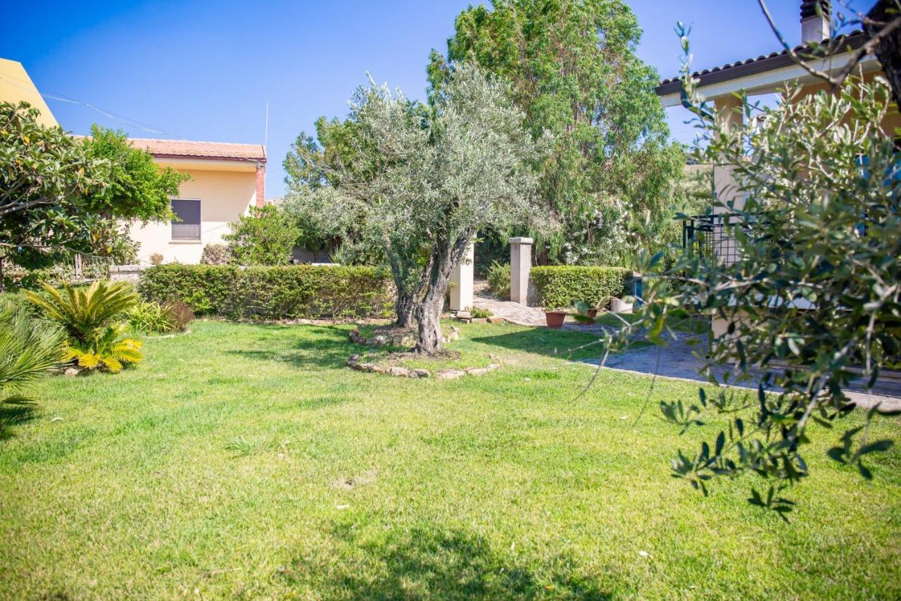 Il Giardino Degli Ulivi Bed & Breakfast Santa Maria Coghinas Luaran gambar